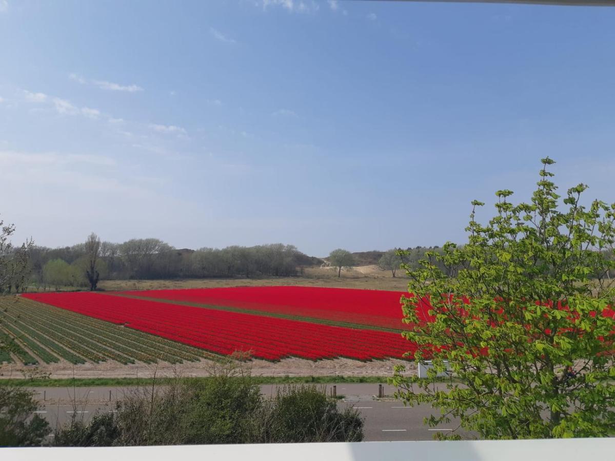 4T4 Apartment C Egmond aan den Hoef Esterno foto